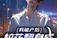 我破产后,校花翻身成总裁要养我?(陈述苏晴晚)完结版免费阅读-维C文学
