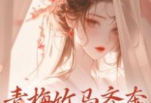 青梅竹马齐奔朝堂夺权势无弹窗来娣宋天最新章节列表-维C文学