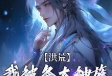 洪荒:我被各大神族当皮球踢完结版陆文免费阅读大结局-维C文学