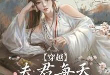 穿越:夫君每天都在争风吃醋(沈夏多夫)最新章节免费阅读-维C文学
