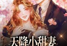 天降小甜妻:偏执大佬抱着哄热门小说(徐蓁沈凌风)在线阅读无弹窗-维C文学