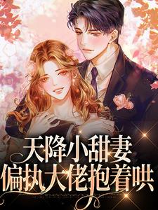 天降小甜妻：偏执大佬抱着哄热门小说(徐蓁沈凌风)在线阅读无弹窗