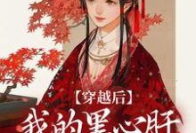 穿越后,我的黑心肝相公太撩人无弹窗李希赵承泽最新章节列表-维C文学
