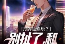 打牌是娱乐？别扯了，和打仗差不多无弹窗高林赵桂菊最新章节列表-维C文学
