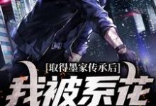 完结版取得墨家传承后,我被系花盯上了在哪免费看,陈瀚宁欣楠小说在线阅读-维C文学