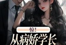 叶寒向暖小说免费阅读最新章节列表，惊！从病娇学长身边逃跑失败了小说在线看-维C文学