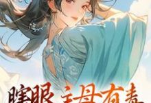 瞎眼主母有毒，不做也罢大结局，端木静姝小说无广告阅读-维C文学