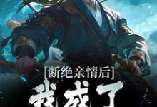 主人公是叶秋的小说断绝亲情后,我成了九幽魔神免费阅读-维C文学