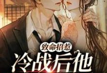 小说致命招惹：冷战后他靠撒娇求和主角李书妤许况免费阅读-维C文学