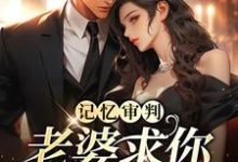 记忆审判：老婆求你看我一眼（林冉傅行简）最新章节在线阅读-维C文学