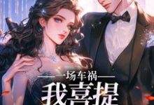 一场车祸，我喜提妻女一双？大结局，陈芸赵乾志小说无广告阅读-维C文学