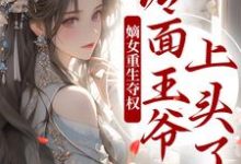 主角是叶流锦的小说两世欢:公府嫡女她是真的狂在哪免费看-维C文学