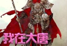 方二最新章节我在大唐卖军火免费阅读-维C文学