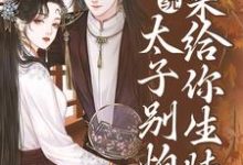 系统:太子别怕,我来给你生娃了无弹窗许锦意最新章节列表-维C文学