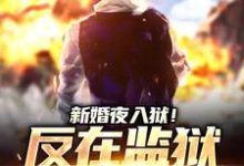 秦风林婉儿最新章节新婚夜入狱！反在监狱成大佬免费阅读-维C文学