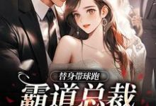 替身带球跑,霸道总裁深陷火葬场完结版苏溪傅晏辞免费阅读大结局-维C文学