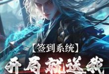 签到系统：开局就送我逆天八字完结版李烬免费阅读大结局-维C文学