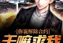 小说你说解除合约,干嘛求我回去主角陆洲免费阅读-维C文学