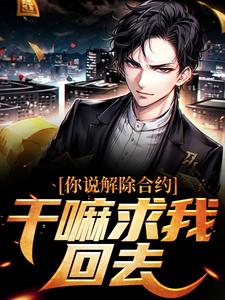 小说你说解除合约，干嘛求我回去主角陆洲免费阅读