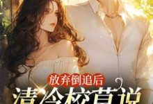 小说放弃倒追后,清冷校草说他喜欢我主角苏晚秋免费阅读-维C文学