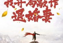 顾风小说免费阅读最新章节列表,穿到修仙界,我开局敲诈退婚妻小说在线看-维C文学
