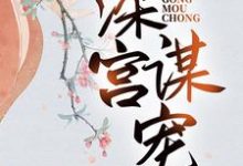 深宫谋宠免费阅读(苏菱魏宸州)小说免费读最新章节-维C文学