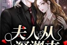 夫人从深渊来小说资源求分享，夫人从深渊来简茵熹傅霆灏在线阅读-维C文学