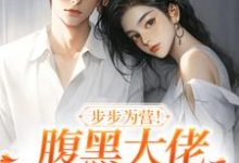步步为营！腹黑大佬撩宠野玫瑰完结版方雒仪周继燊免费阅读大结局-维C文学