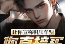 主角是苏晨的小说让你宣称积压车型,你直接买脱销?在哪免费看-维C文学