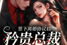 精彩章节阅读签下离婚协议后,矜贵总裁红眼失控(时知漾沈京墨)免费小说在线看-维C文学