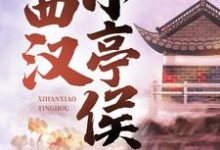 西汉小亭侯免费阅读，赵启明大结局无弹窗-维C文学
