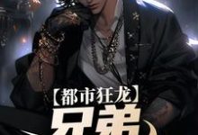 宋渔向影最新章节亲哥出狱，带我起飞有错吗免费阅读-维C文学