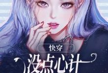 沈初墨小说免费阅读最新章节列表，快穿：没点心计，怎么能成万人迷？小说在线看-维C文学