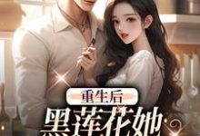 小说重生后，黑莲花她坠入军少陷阱（白宁陆珩）最新章节在哪看-维C文学