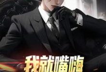 我就嘴嗨,你咋全造出来了精彩章节阅读(苏晨)免费阅读大结局-维C文学