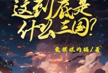 主人公是陈默的小说这到底是什么三国免费阅读-维C文学