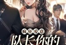 疯狂爱意：队长你的媳妇跑路啦大结局，秦凛杨婂小说无广告阅读-维C文学