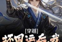 穿越：坏国运后，我要飞升成仙（李天唐含雪）完结版免费阅读-维C文学