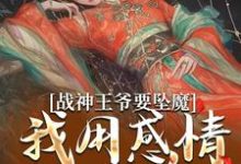 战神王爷要坠魔,我用感情拯救他免费阅读,苏婉清陆少卿大结局无弹窗-维C文学