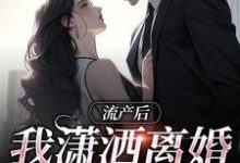 流产后我潇洒离婚,渣总悔哭了免费阅读(叶沐笒许复昂)小说免费读最新章节-维C文学