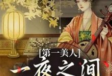 第一美人,一夜之间沦为笑柄最新章节第一美人,一夜之间沦为笑柄在线阅读-维C文学