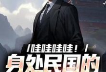 完结版哇哇哇哇!身处民国的我变大佬在哪免费看,苏墨小说在线阅读-维C文学