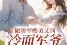 岑婧怡顾延卿最新章节列表傲娇军嫂美又飒,冷面军爷被拿捏免费阅读-维C文学