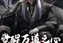 小说觉醒万道之心,看我凭假修真主角沈明免费阅读-维C文学
