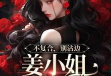 主人公是顾衍泽苏辞心的小说不复合,别沾边,姜小姐又美又飒免费阅读-维C文学