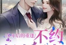 完结版多年后的重逢，不约，姐有男友在哪免费看，禾念安傅璟忱小说在线阅读-维C文学