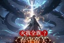 灭我全族？弃守帝关，化禁区之主免费阅读，顾尘大结局无弹窗-维C文学