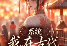 秦韵王霁小说免费阅读最新章节列表,系统:我在古代带家族起飞小说在线看-维C文学
