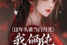 这年头谁当白月光,我俩纯纯走剧情免费阅读(温沅李昭)小说免费读最新章节-维C文学