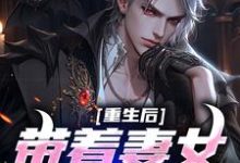重生后带着妻女疯狂捞金无弹窗谢昭林暮雨最新章节列表-维C文学